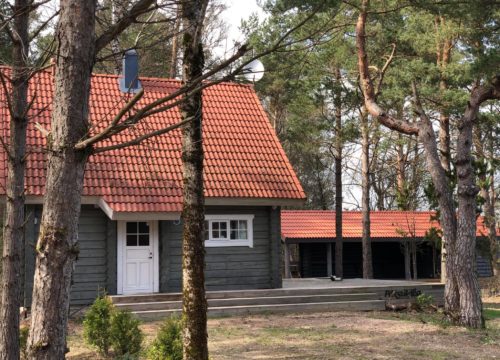 koka maju buvnieciba