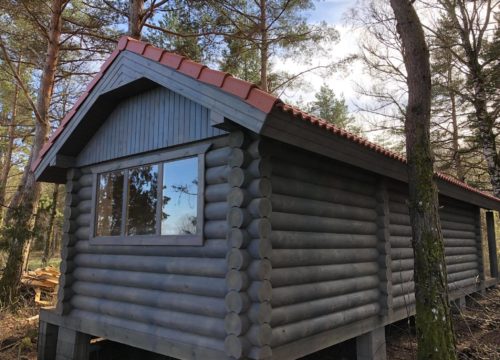 pirts buvnieciba igaunija